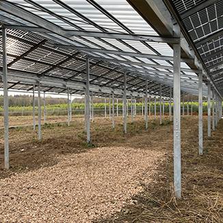 agri-photovoltaik