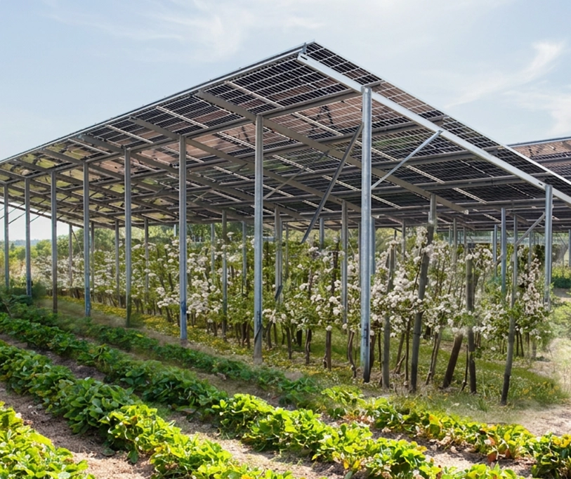 agri_pv_classic