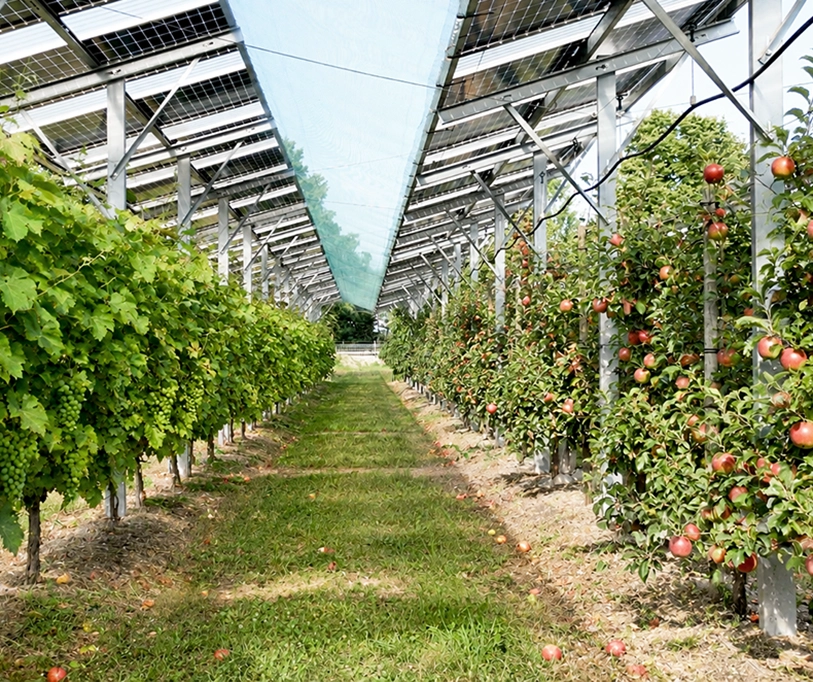 agri_pv_tunnel