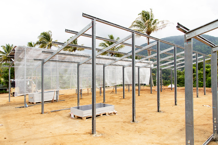 Montagesystem_Sri_Lanka_