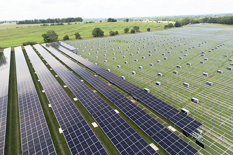agri pv