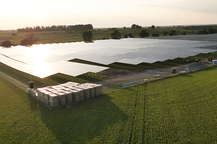 agri pv