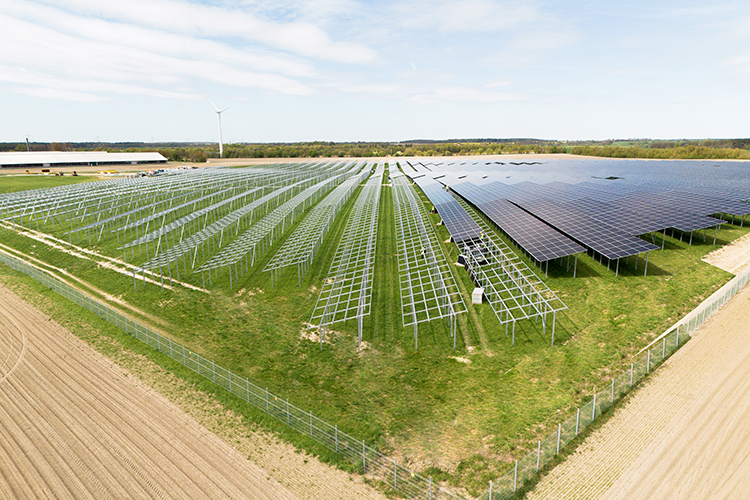 agri pv
